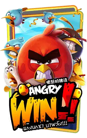 Angry Win pgslotlucky.com